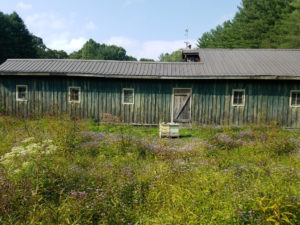 Barn hives prepped for winter