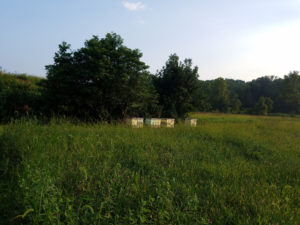 Farm hives prepping for winter 2018