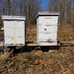 Roadside hives, Mar 5, 2017
