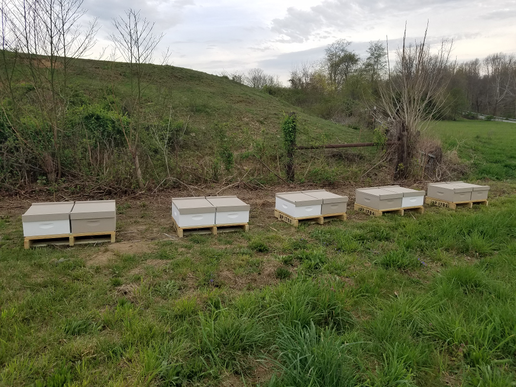 4-14-17 Hives moved to the farm.