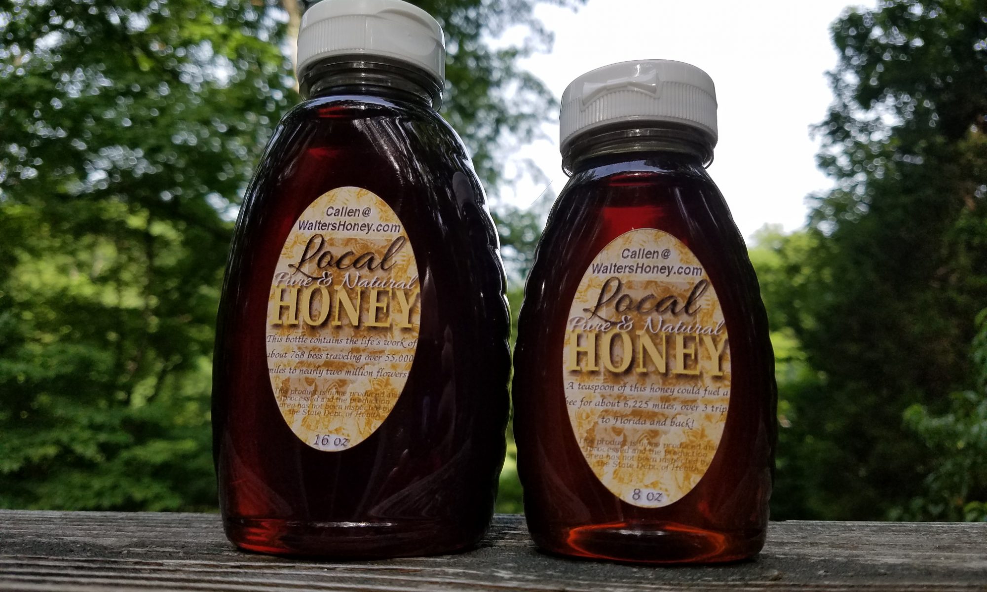 8oz and 16oz bottles of annual honey.