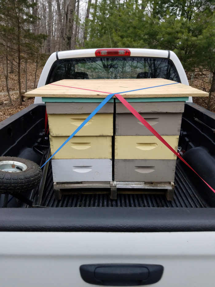 Truck loaded with hives.